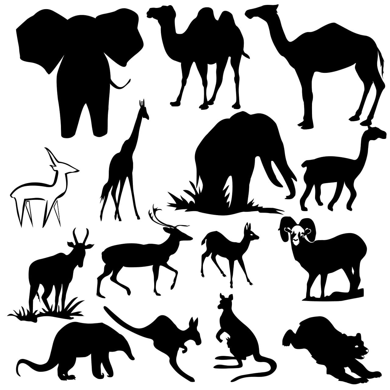 Animaux Totem Animaux Totem