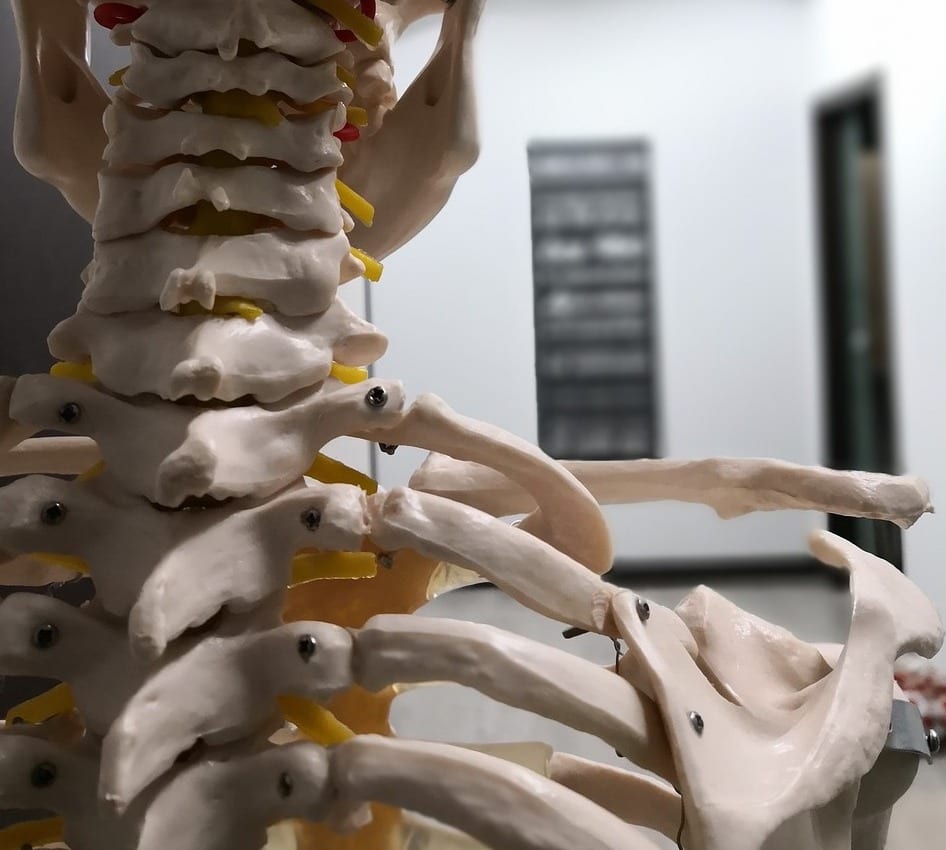physiotherapy-4099066_1280 copie