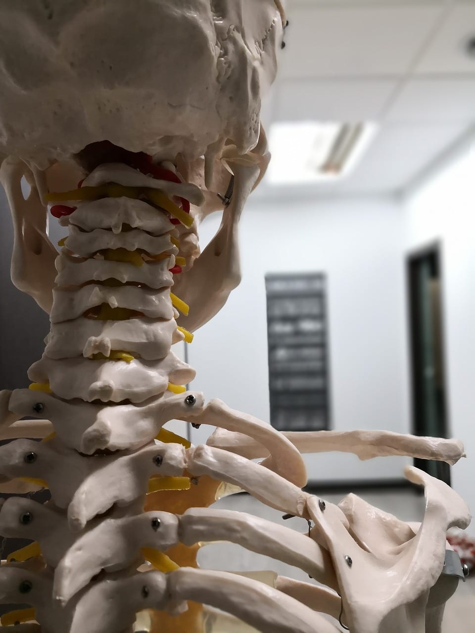 physiotherapy-4099066_1280 cranio sacree annecy