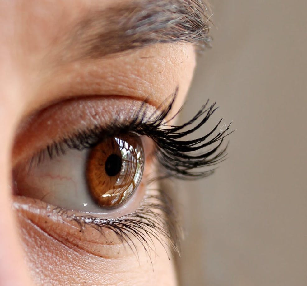 photo coloration cils copie Maquilleuse mariage Annecy