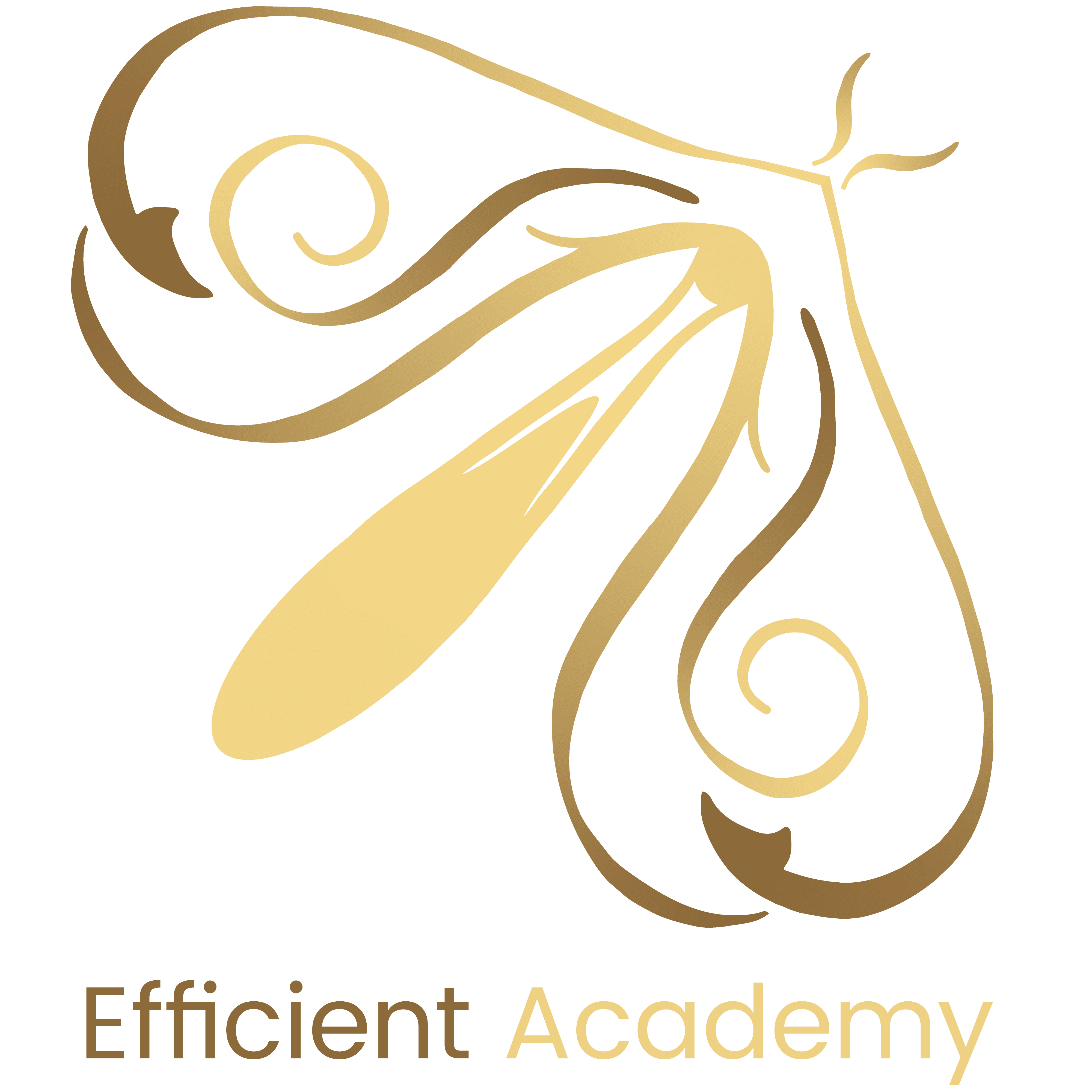 logo-efficient-academy-annecy-cabinet-wakanda