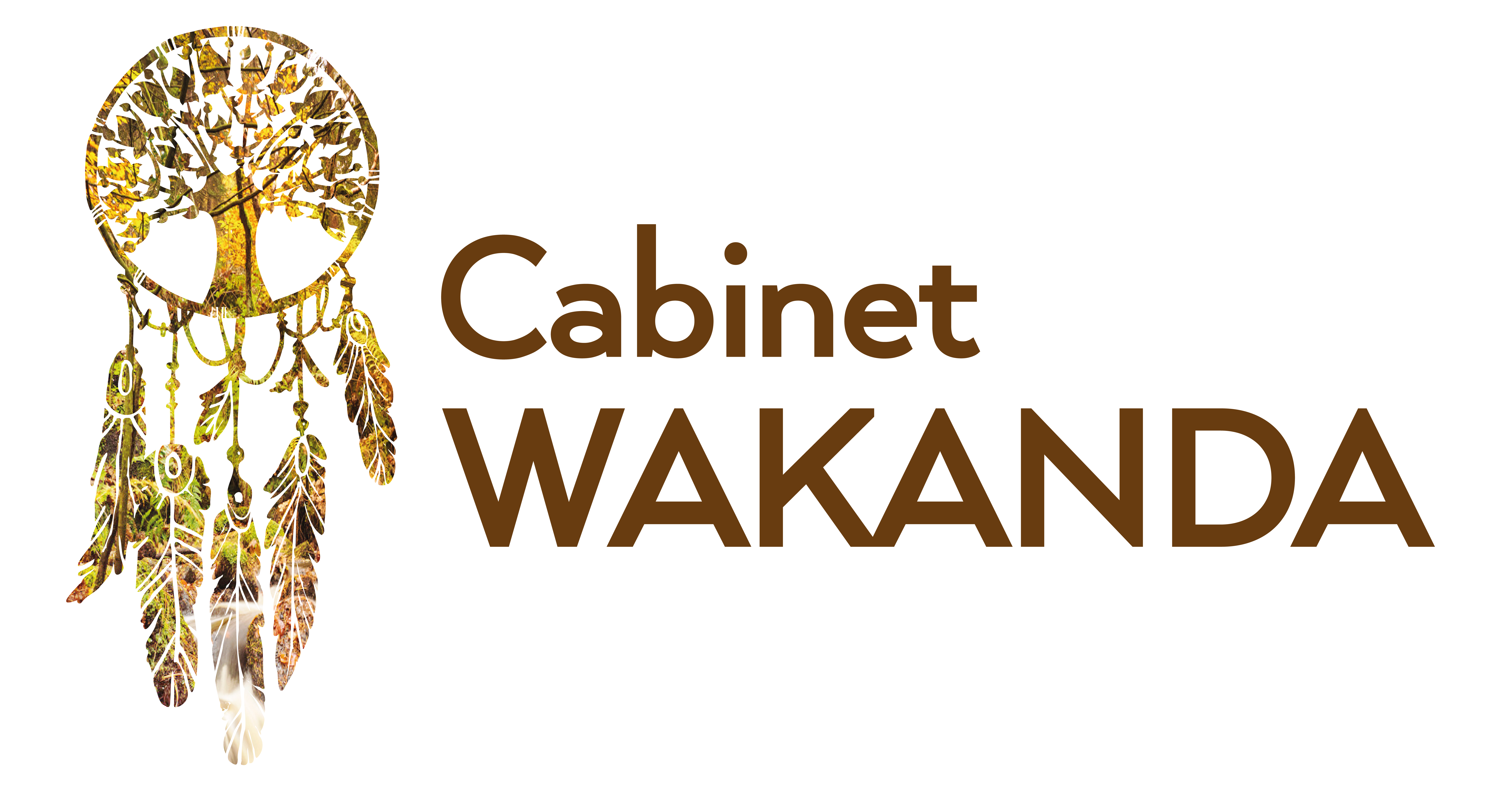 logo-cabinet-wakanda-bien-etre-annecy-meythet