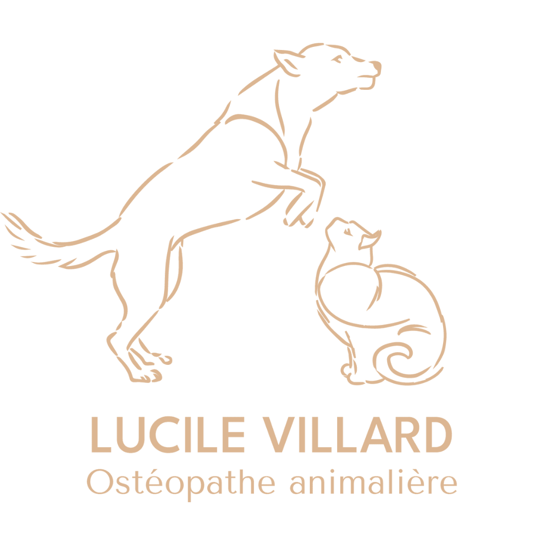 logo-lucile-villard-ostheopathe-animalier-annecy-cabinet-wakanda logo-lucile-villard-ostheopathe-animalier-annecy-cabinet-wakanda