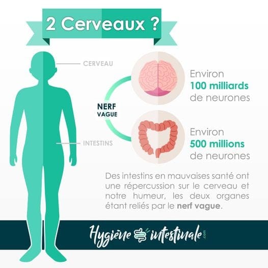 massage-du-ventre-annecy-belly-revolution